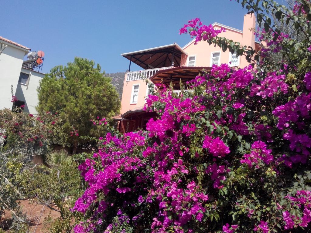 Villa Koknar Pension คาช ห้อง รูปภาพ