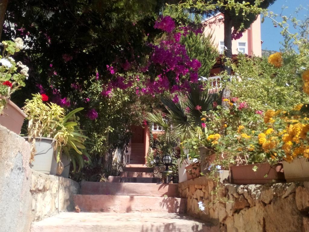 Villa Koknar Pension คาช ห้อง รูปภาพ