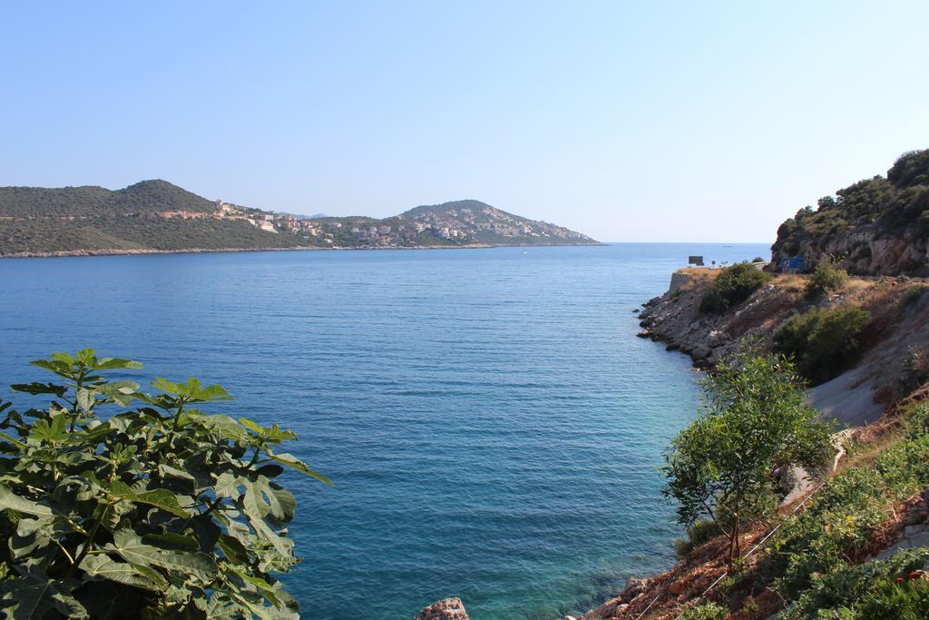 Villa Koknar Pension คาช ห้อง รูปภาพ